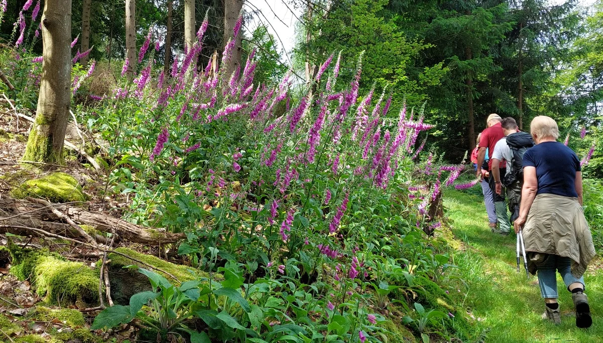 © DAV-Sektion Sinsheim