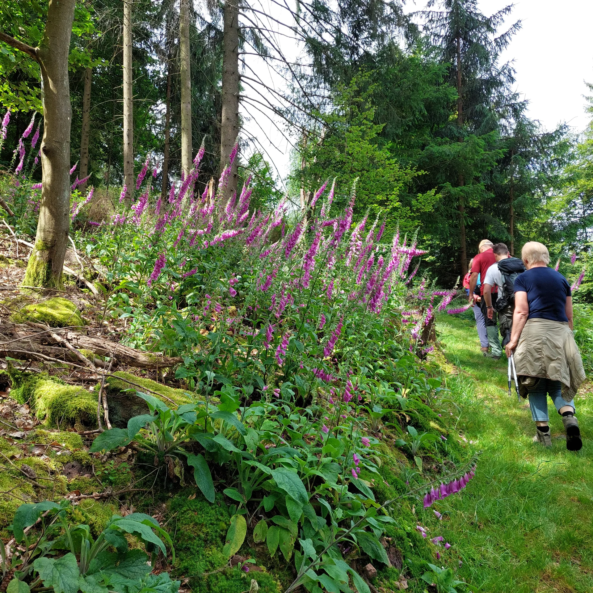 © DAV-Sektion Sinsheim