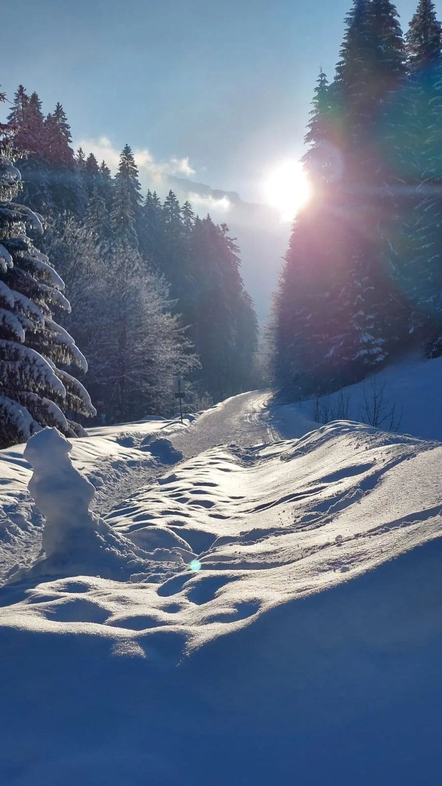 © DAV Sinsheim