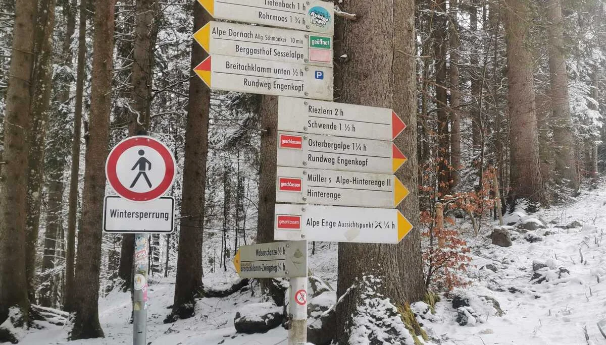 © DAVSinsheim