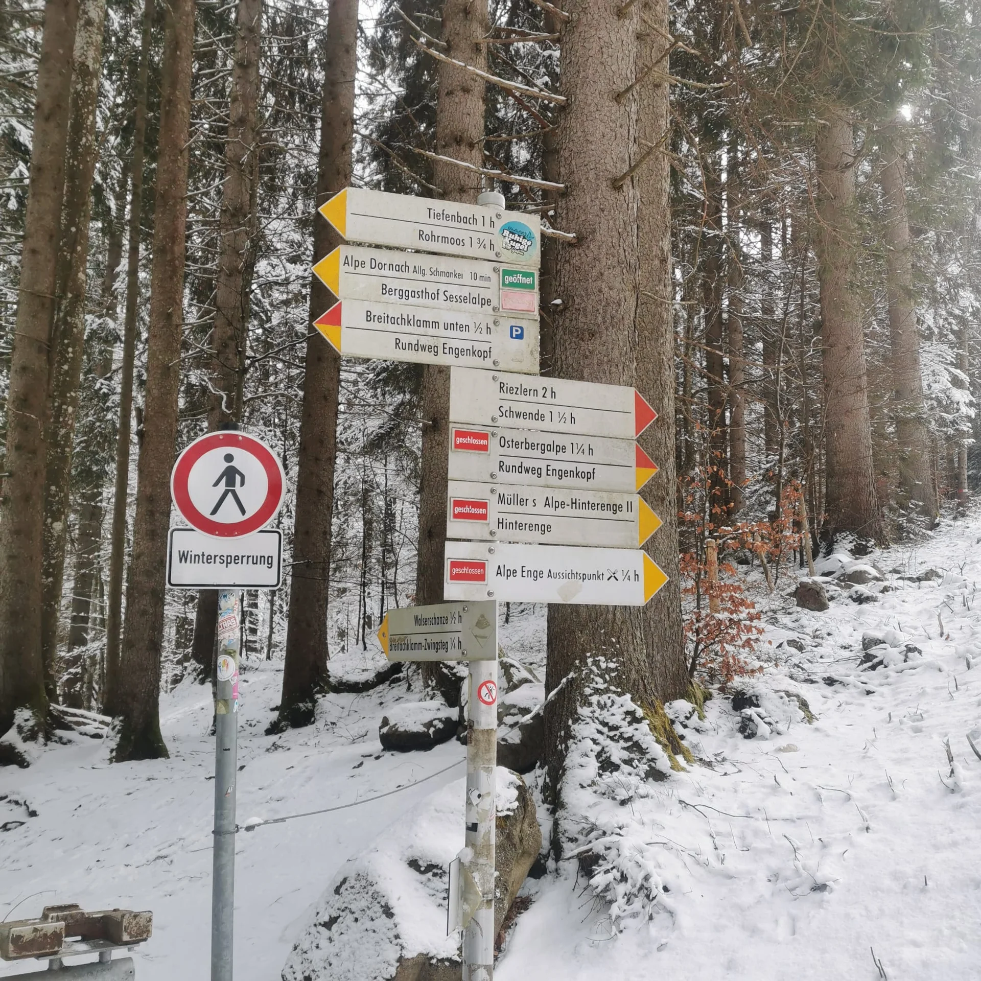 © DAVSinsheim