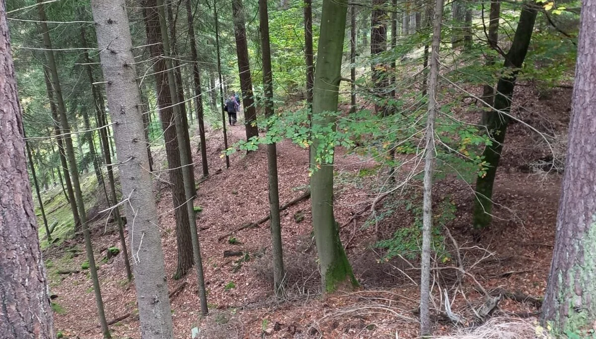 © DAV-Sektion Sinsheim