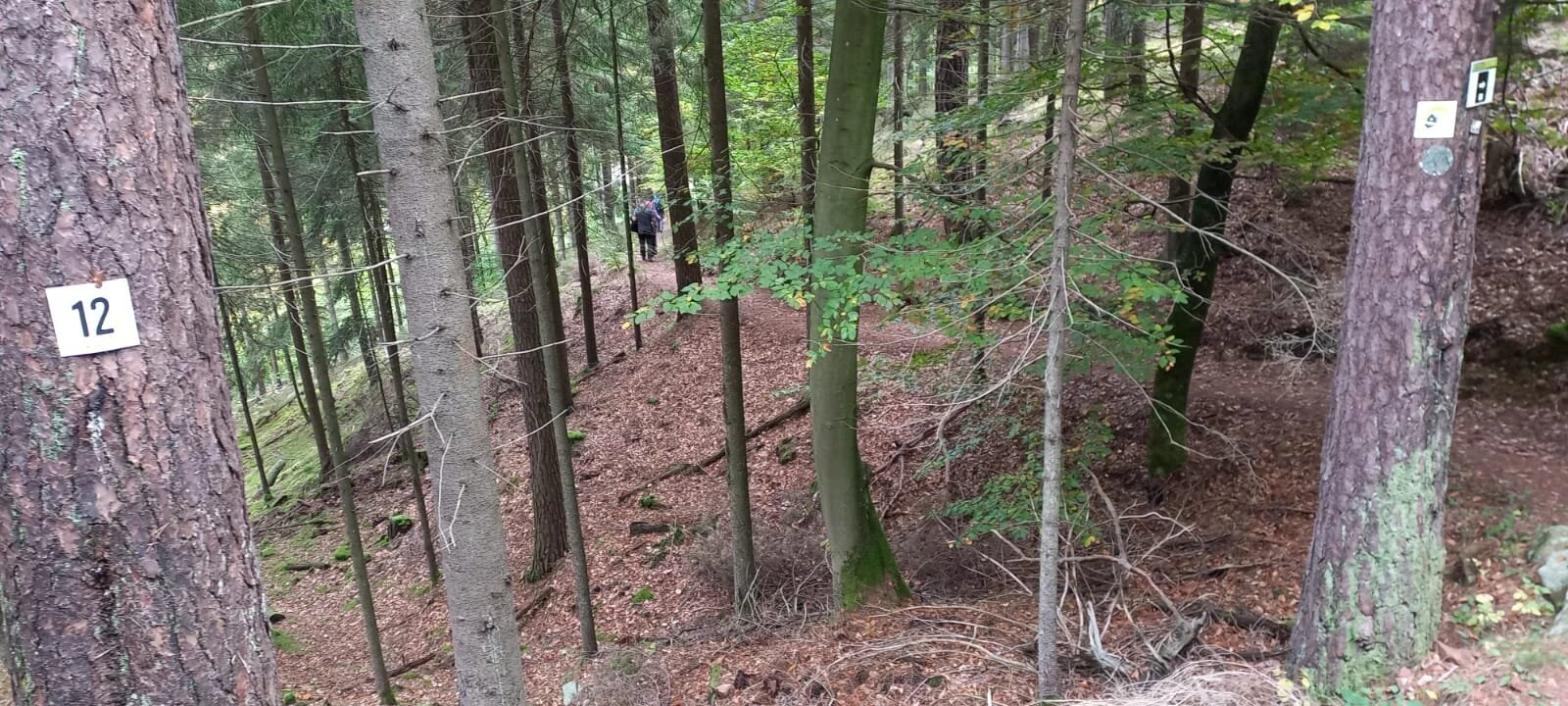 © DAV-Sektion Sinsheim