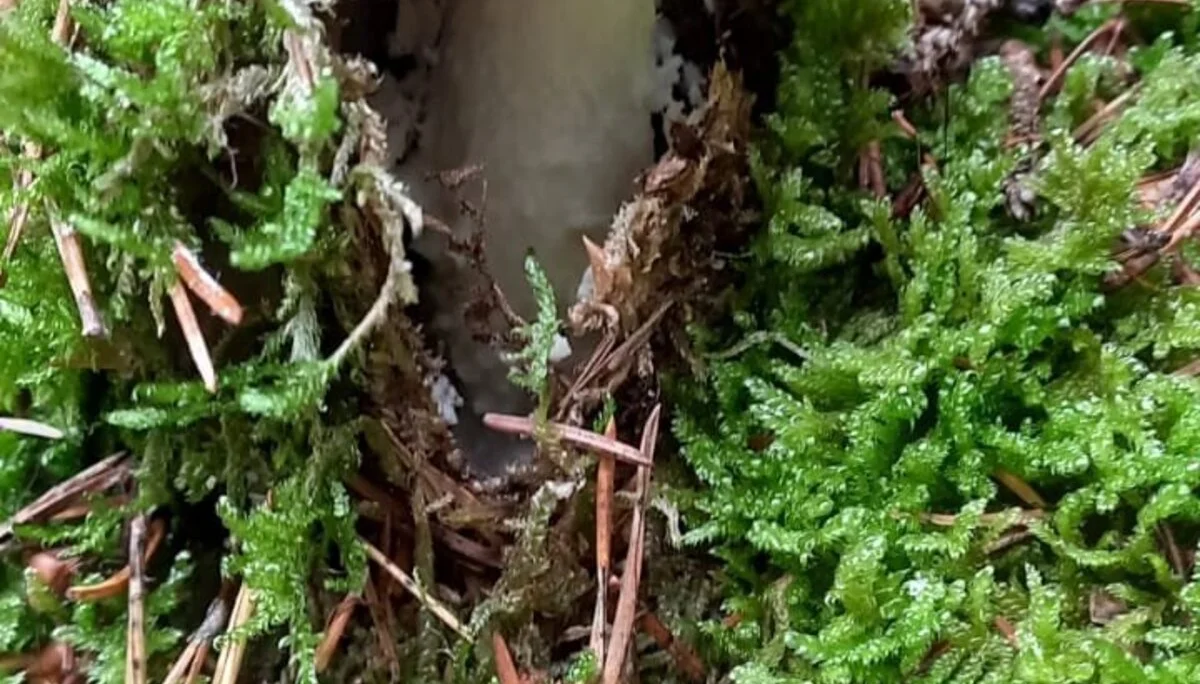 © DAV-Sektion Sinsheim