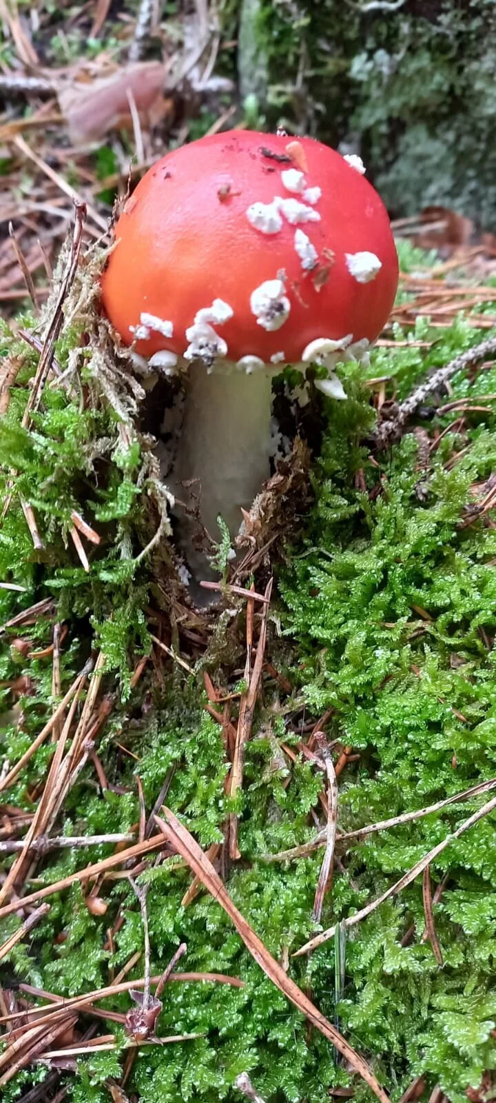 © DAV-Sektion Sinsheim