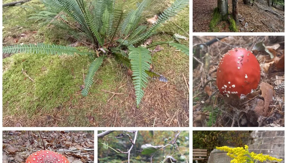 © DAV-Sektion Sinsheim