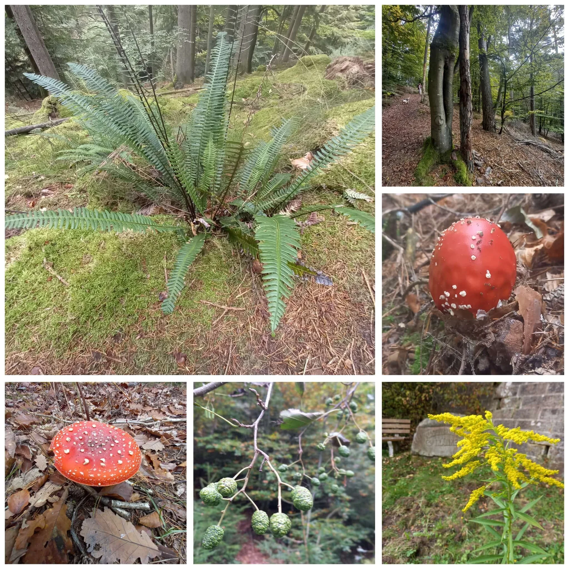 © DAV-Sektion Sinsheim