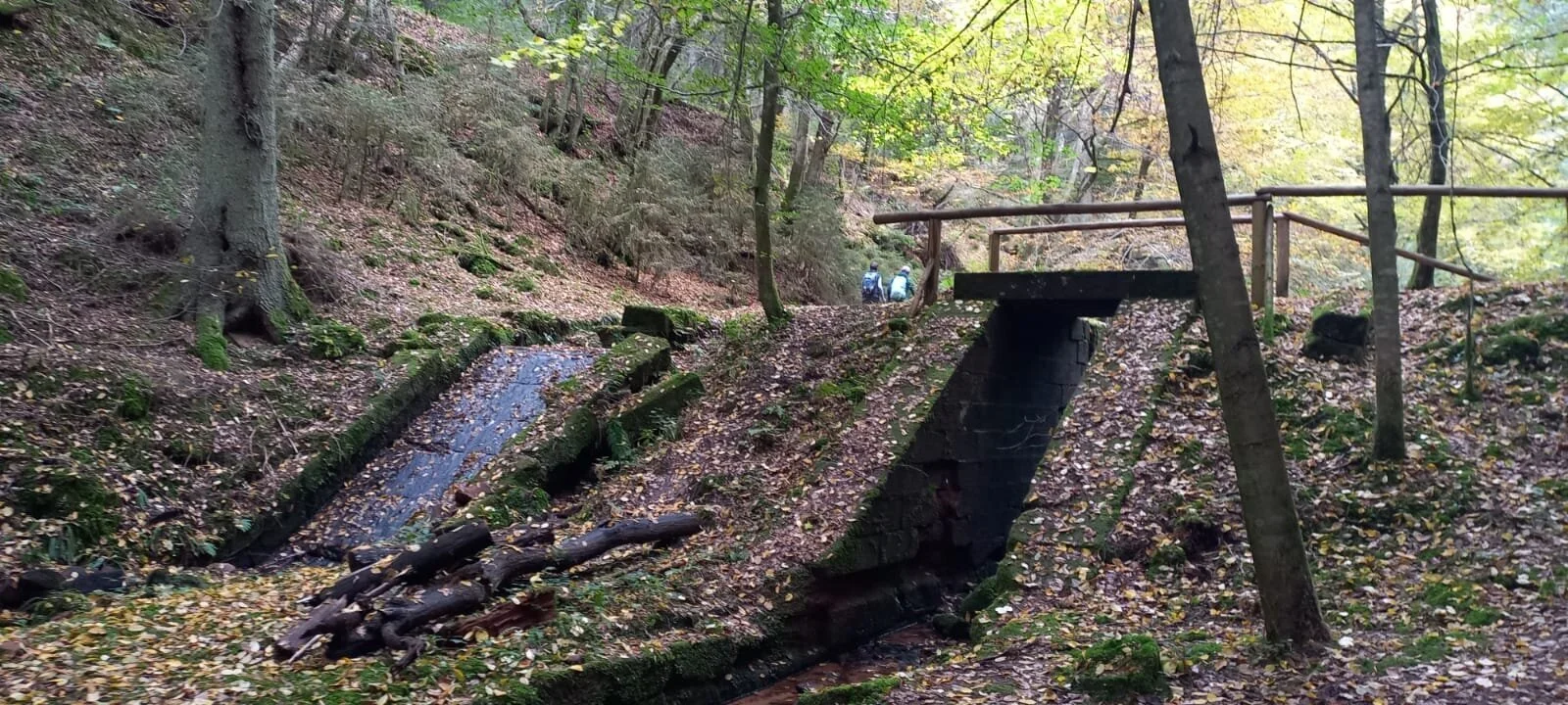 © DAV-Sektion Sinsheim