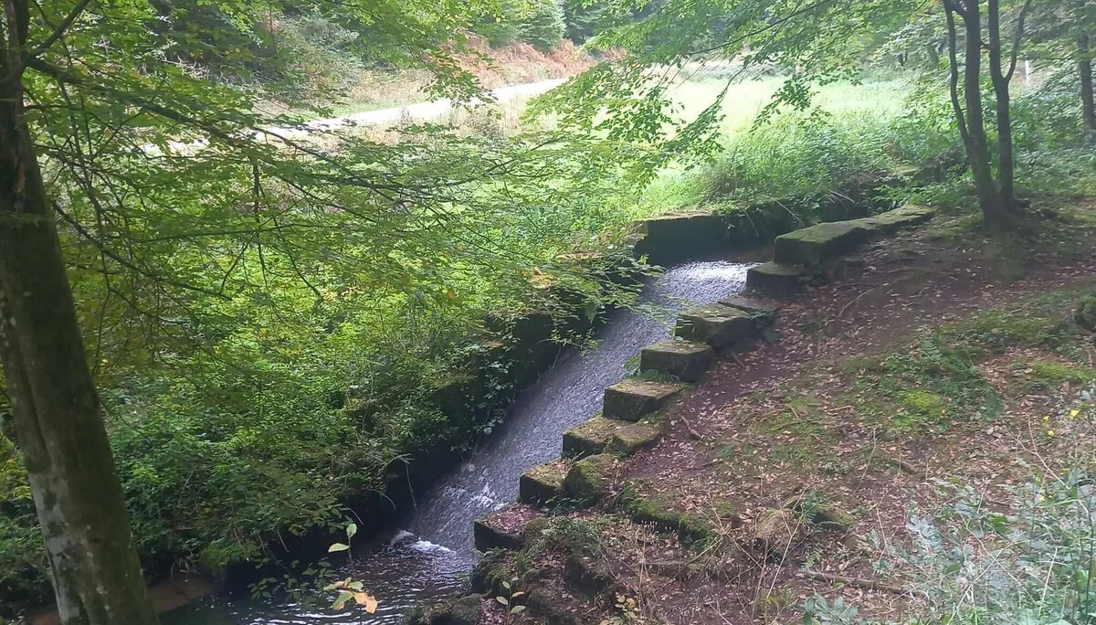 © DAV-Sektion Sinsheim