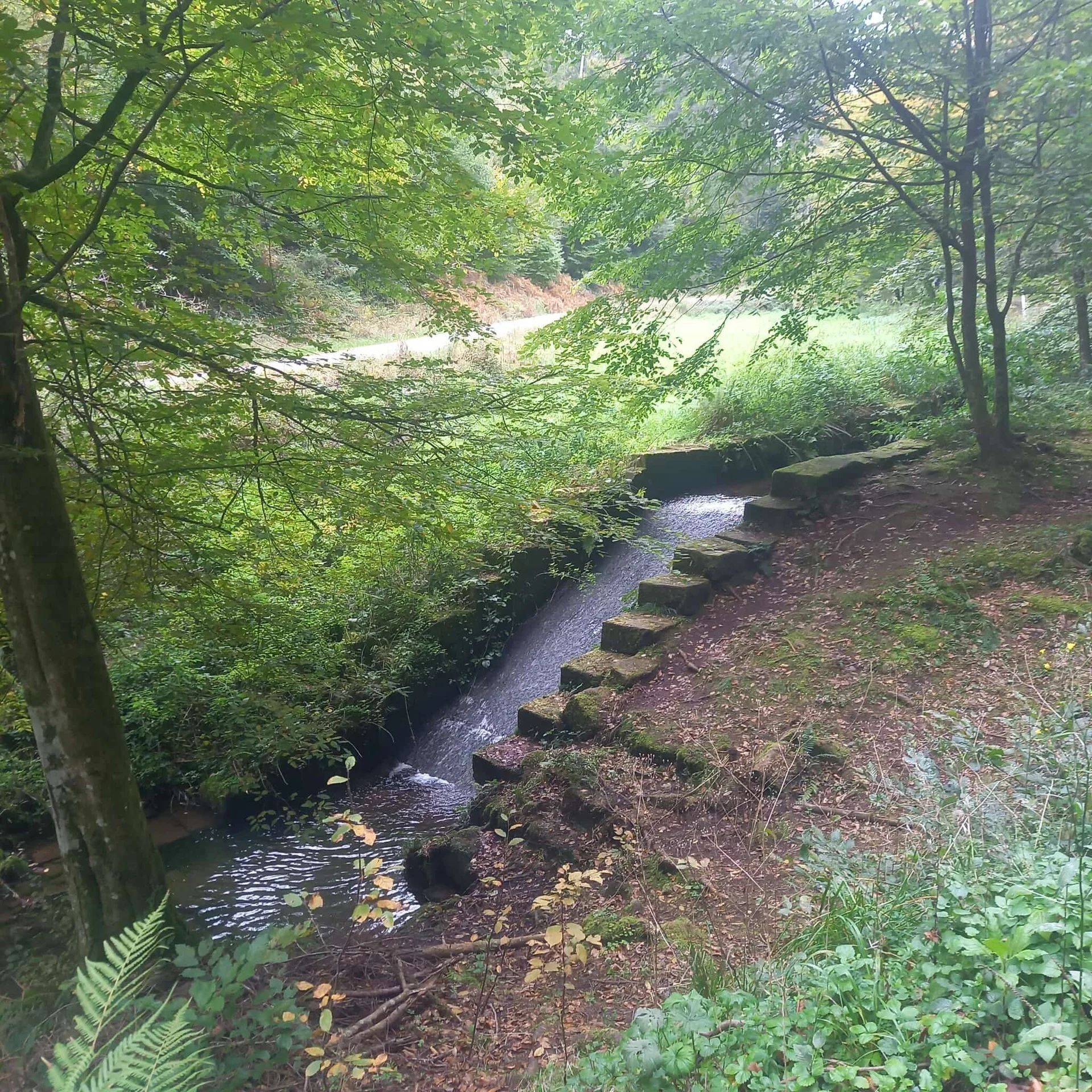 © DAV-Sektion Sinsheim