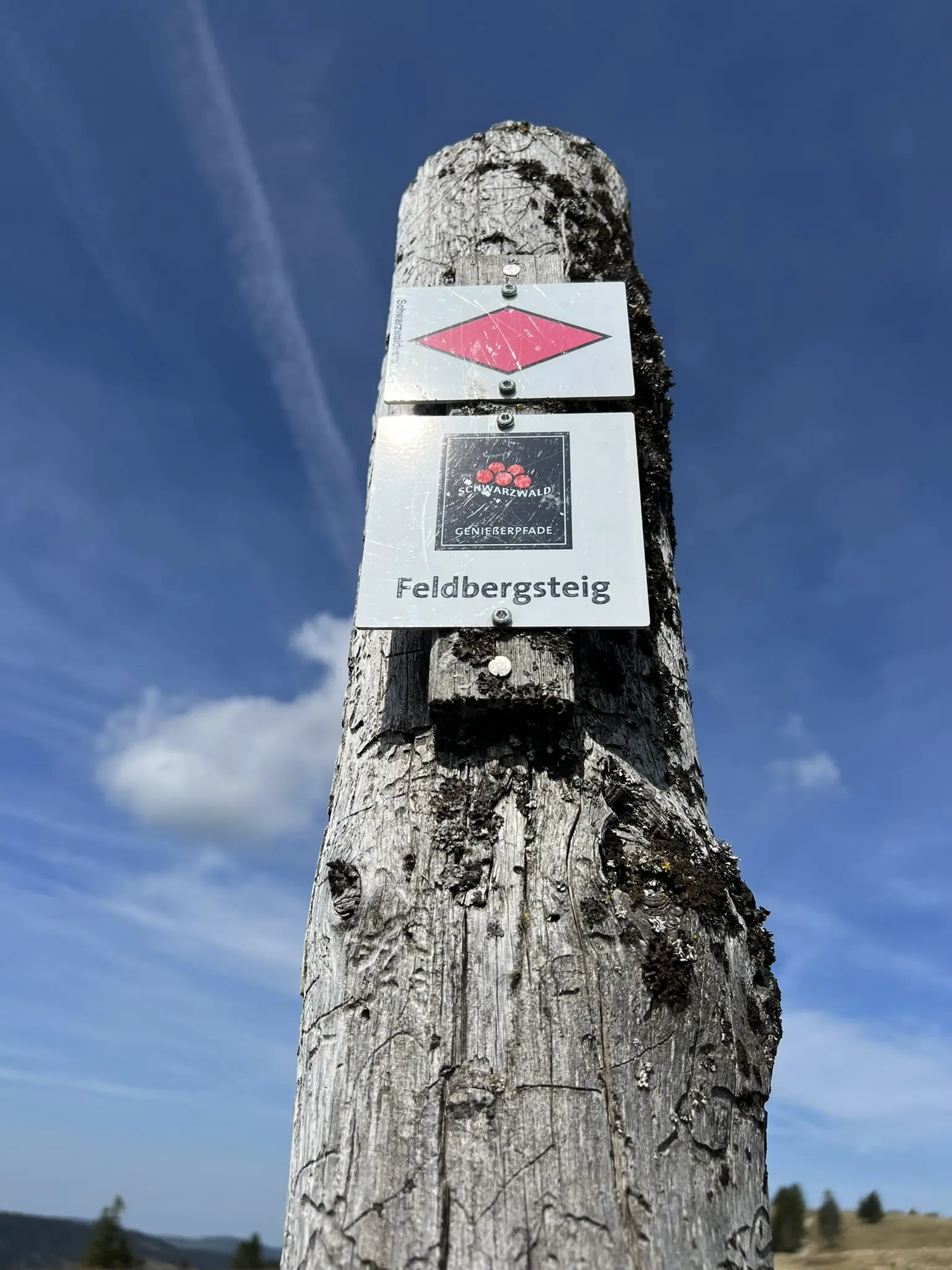 © DAV Sinsheim