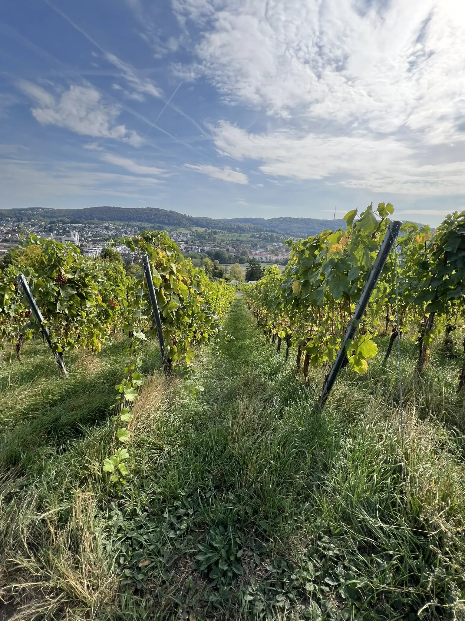 © DAV Sinsheim Sinsheim